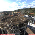 17_45-nest.jpg