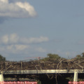 17_55-mast.jpg