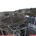 18_05-nest.jpg