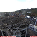 18_10-nest.jpg