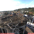 18_15-nest.jpg