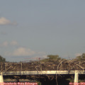 18_25-mast.jpg