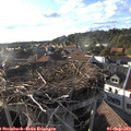 18_30-nest.jpg