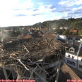 18_35-nest.jpg