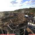 18_40-nest.jpg