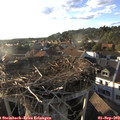 18_45-nest.jpg