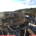 18_55-nest.jpg