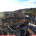 19_00-nest.jpg
