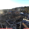 19_15-nest.jpg