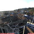 19_20-nest.jpg