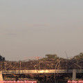 19_25-mast.jpg