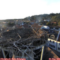 19_25-nest.jpg