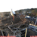 19_30-nest.jpg