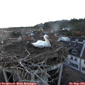19_35-nest.jpg