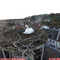 19_40-nest.jpg
