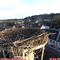 07_05-nest.jpg