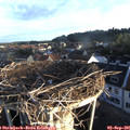 07_10-nest.jpg