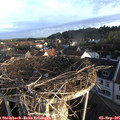 07_20-nest.jpg