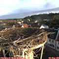 07_25-nest.jpg
