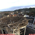 07_30-nest.jpg