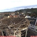 07_35-nest.jpg