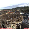 07_40-nest.jpg