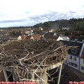 07_45-nest.jpg