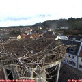 07_50-nest.jpg