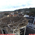 07_55-nest.jpg