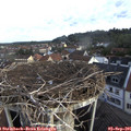 08_00-nest.jpg