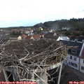 08_10-nest.jpg