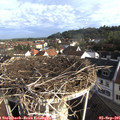 08_15-nest.jpg
