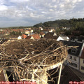 08_20-nest.jpg