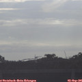 08_25-mast.jpg