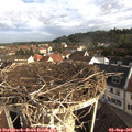 08_25-nest.jpg