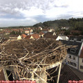 08_30-nest.jpg