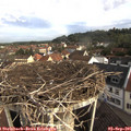 08_35-nest.jpg