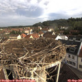 08_40-nest.jpg