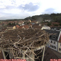 08_45-nest.jpg