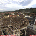 08_50-nest.jpg