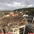 08_55-nest.jpg