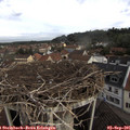 09_00-nest.jpg
