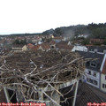 09_05-nest.jpg