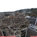 09_10-nest.jpg