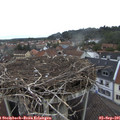 09_15-nest.jpg