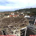 09_25-nest.jpg