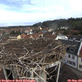 09_30-nest.jpg