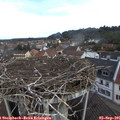 09_35-nest.jpg