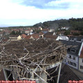 09_40-nest.jpg