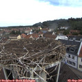 09_45-nest.jpg